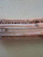 陨石:佛陀舍利的科学检测报告,或为价值堪比和氏璧的朗斯代尔晶体!