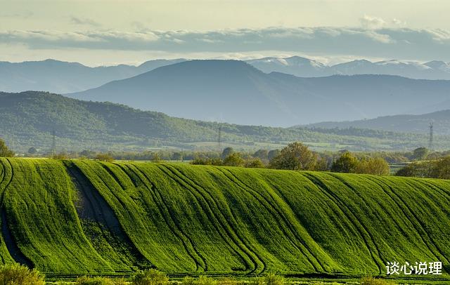 运势|10月，宠你如初，爱你入骨，3星座携手旧爱，此生风雨同路