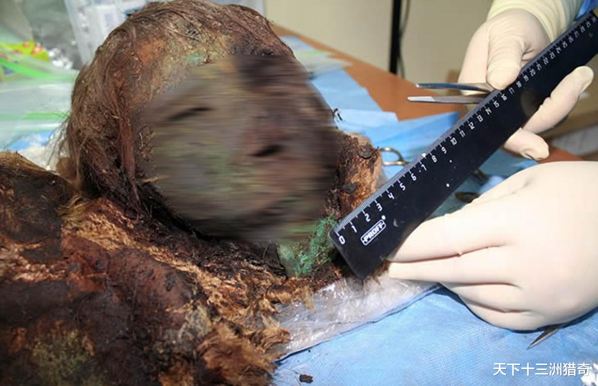 干尸|西伯利亚冻土干尸，面颊覆盖铜面罩，有的只剩头颅，毛发保存完好