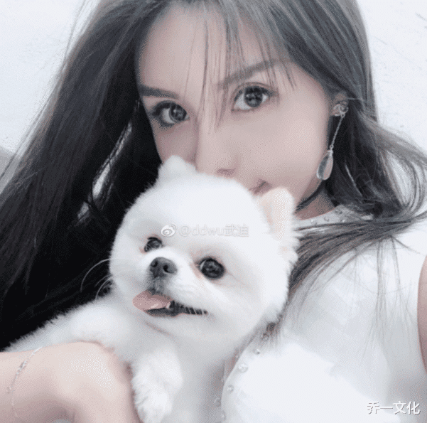 王思聪|曾公然骂王思聪丢中国人的脸, 思聪回应见一次打一次, 如今她怎样了