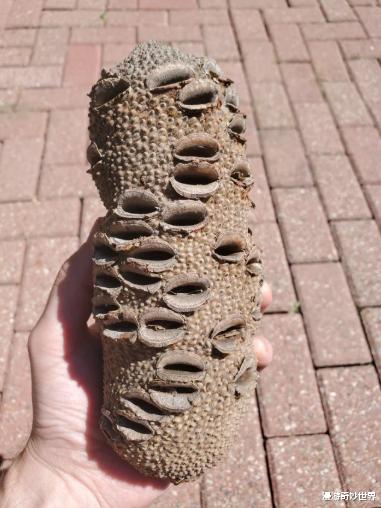 []网络有多恐怖？你问什么，万能的网友都能解答！