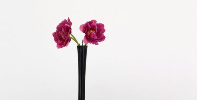 生肖|9月中旬，神来气旺，邂逅好运，4生肖事业得意，赚得金银满仓