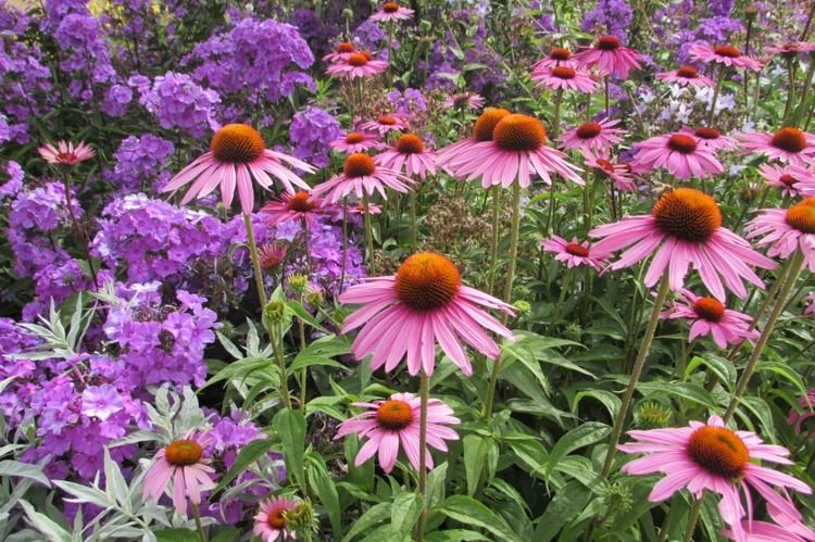 生肖|8月开始财运一旺再旺，喜迎财神，事业有成就的四大生肖