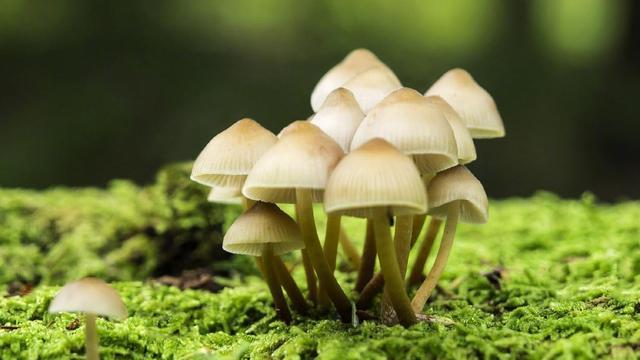 [摩羯座]先热后冷的星座男，追到手就不再珍惜