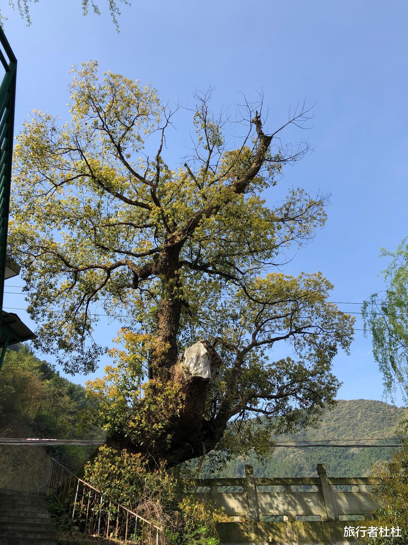 宁波■最美的人间凡仙境江南水乡古村，如今却变得面目全非，究竟怎么了