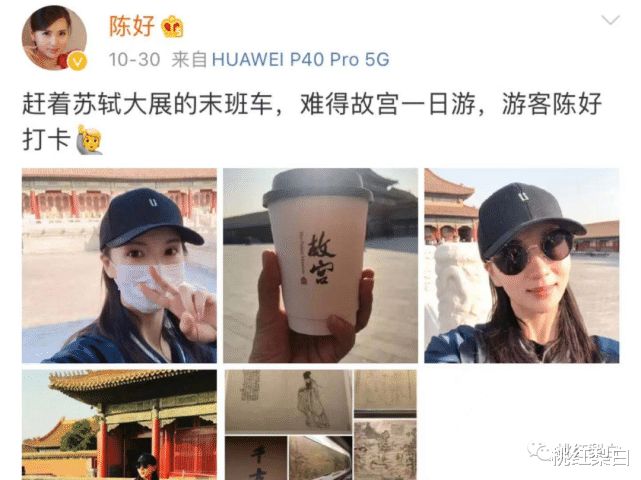 陈好|“万人迷”有多美，《粉红女郎》就有多火！