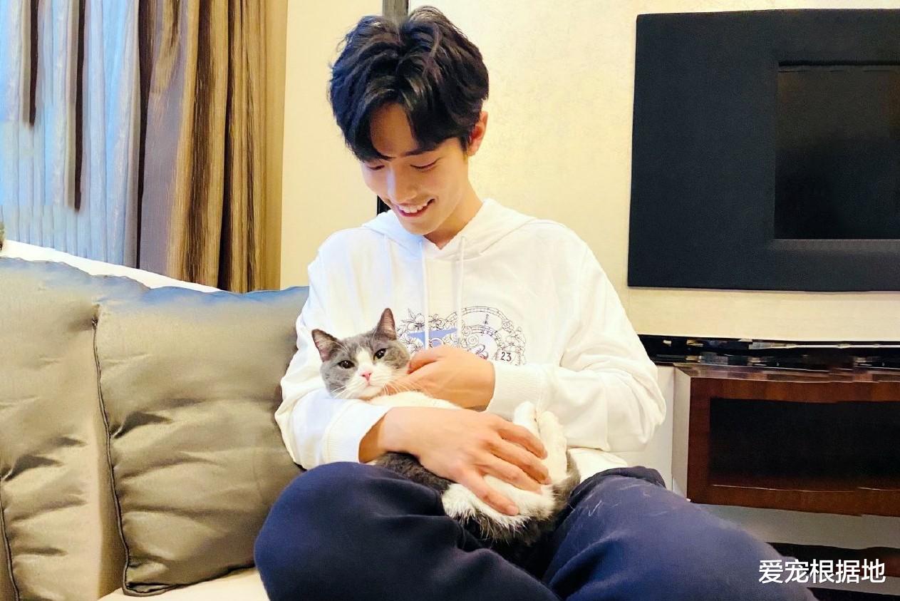 肖战竟是资深猫奴，裤子被蹭成猫毛裤，他却一脸宠溺毫不在意