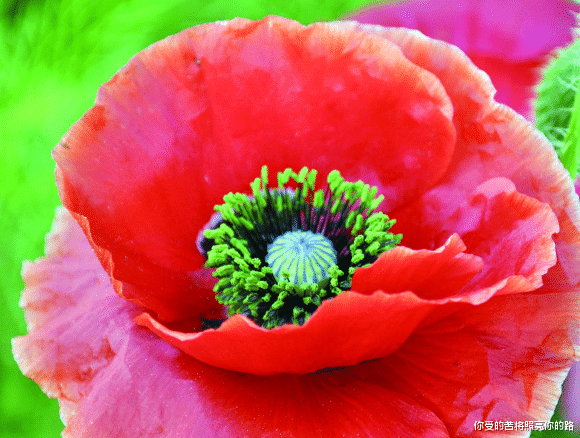 大富大贵|8月中旬起,4属相时来运转,横财运驾临,生活大富大贵