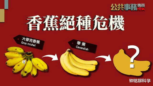 『核辐射』地球上为什么没有出现永生生物？是什么阻止了生物永生？