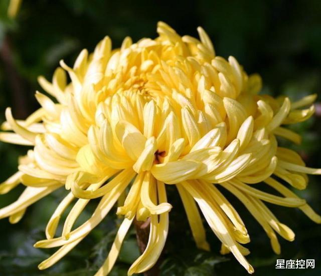 运势|阴历此3个月生的人，人品没得说，发展更红火，下半年致富路畅通