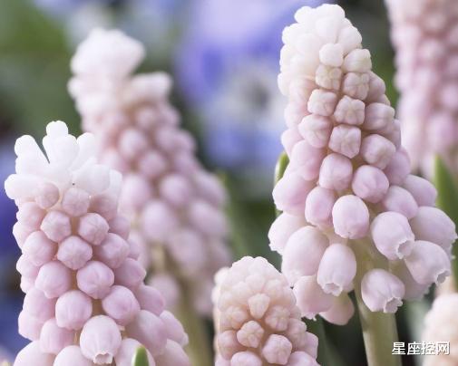 |出生在此5天的人，外表平凡，实力不凡，8月后来居上，赚钱顺手