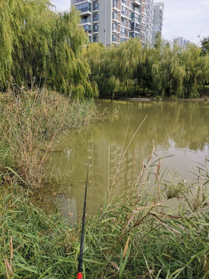 |又多一解毒好去处——门口湾子