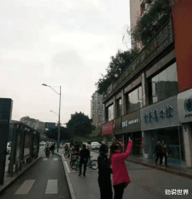 浙江大学|女子从十楼扔下菜刀,被判刑1年10个月,随之,浙江大学被抛出.....