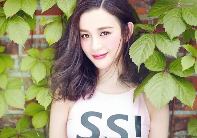 包拯：吴秀波10亿身家, 将7年\天价保姆\送监狱, 身败名裂背后, 远不止情乱