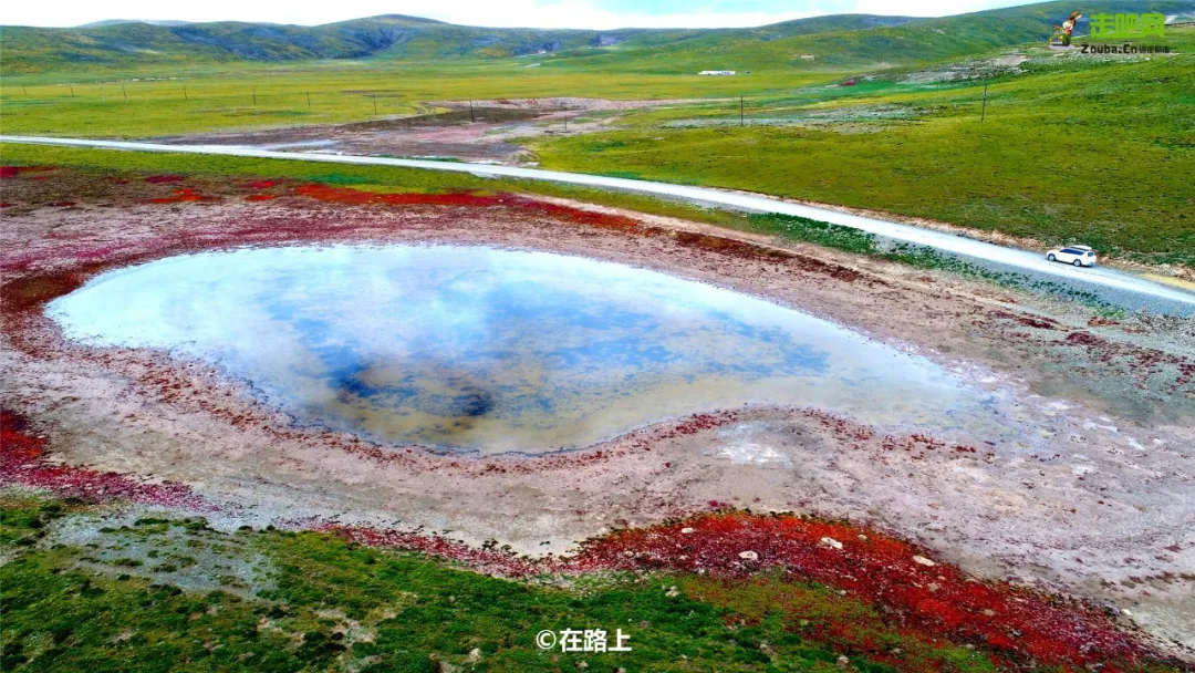 青海|头顶甘南,下接甘孜!青海又一隐世秘境出世,庆幸未火