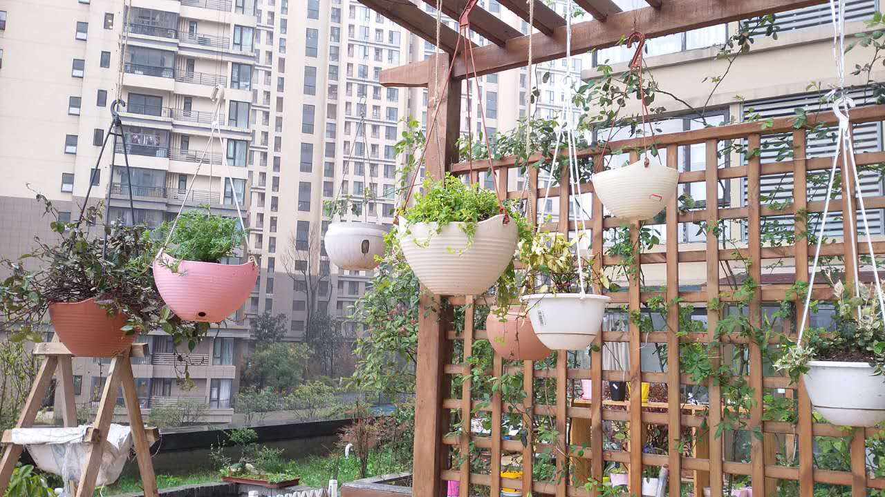 『』180㎡露台造园，买了带露台的房子，老公亲自设计，出门就是花园