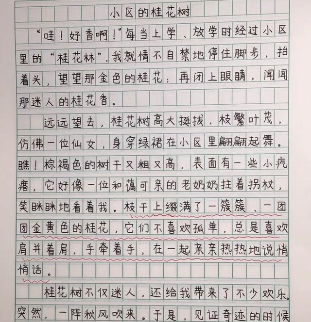 「作文」小学老师晒小学生优秀作文，不仅思路清晰而且书写堪比“印刷体”