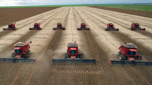 「」老外又在争相向我国出口粮食？为什么“变脸”这么快呢？