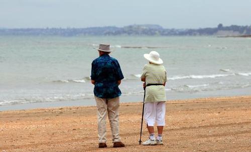 大脑|据说能一眼看出兔子在哪的人很聪明，我用了10秒，你能超过我吗？