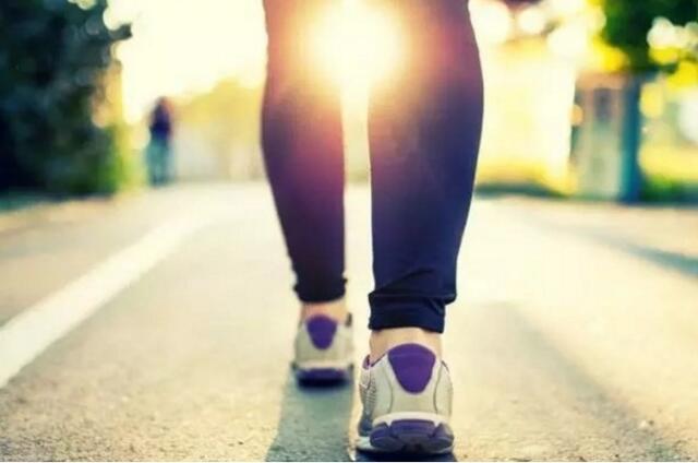 科学家|人类历史180万年，其中179万年碌碌无为，为何突然变成高级生物