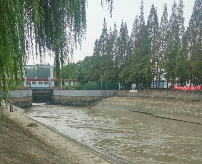 |揭秘通潮汐浜，水闸开和关对垂钓的影响。下集