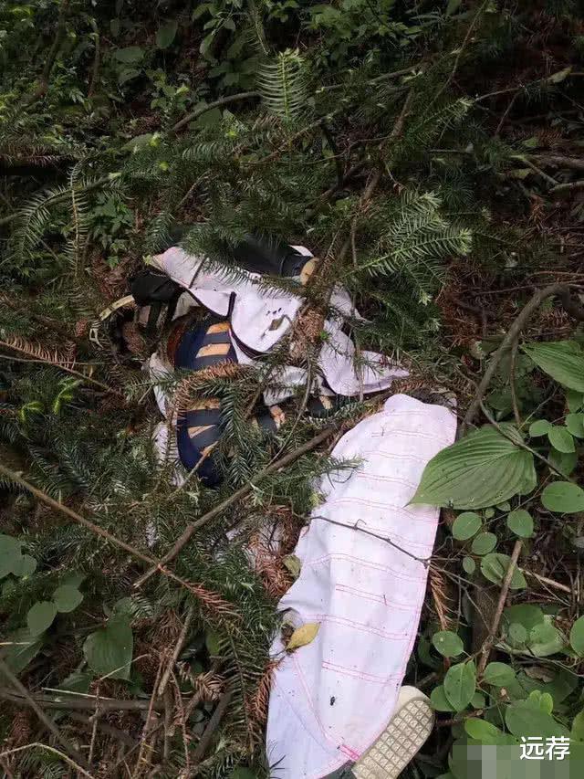 『泰安』翼装飞行失联女大学生确认死亡！人躺在草丛里！成生前最后遗照！