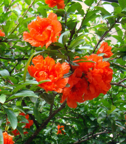 运势|进入10月份，4属相贵人相助，生意红红火火，工作步步高升