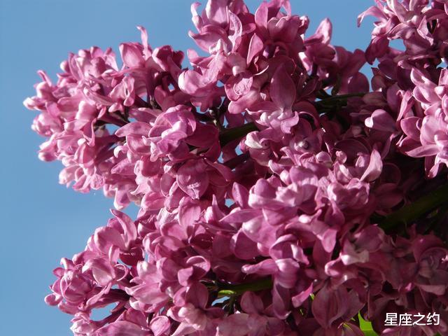 运势|在8中旬,情深意重,心甘情愿,绝不后悔的三大星座