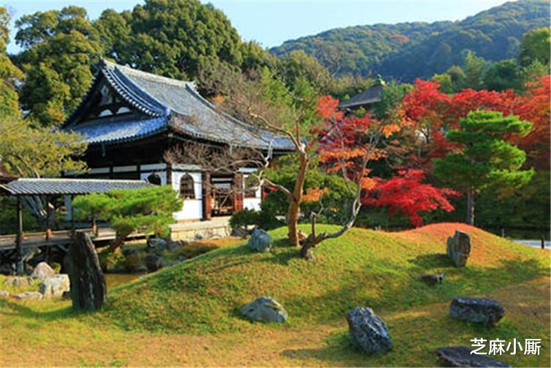 日本旅游|日本旅游时遇到美女向你“弯手指”，一定要离开，不然追悔莫及