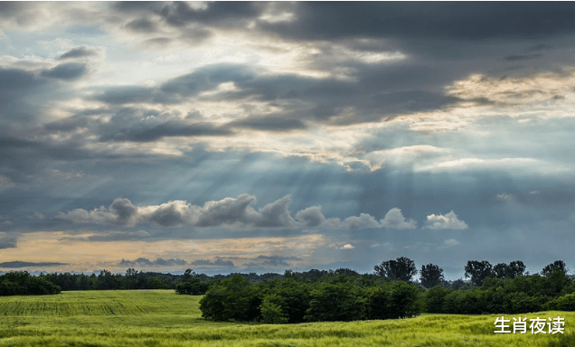 生肖|11月底，了却牵绊，为爱回头，月老眷顾，爱神降临，旧情复燃