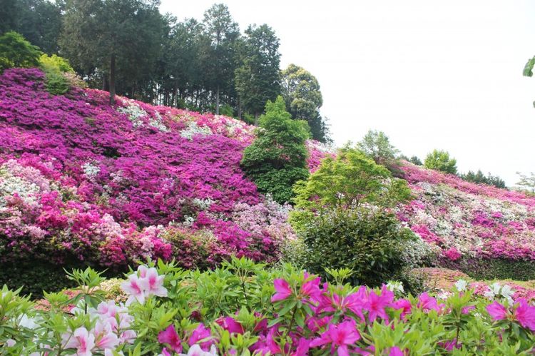 |八月下旬，情路顺遂，如鱼得水，携手真爱，琴瑟和鸣的四大星座