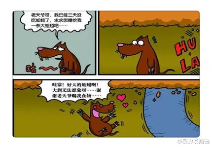 搞笑漫画：一条腿的鸟行动不便，呆头为此煞费苦心做了“人腿”！