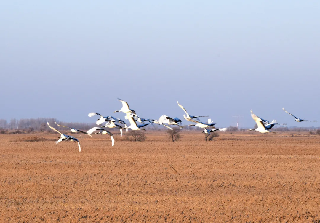 长白山|秋天的东北藏不住了，一组照片流出后，全世界都被惊艳了！