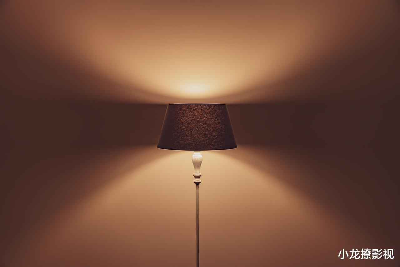 小龙撩影视 老鼠送给年轻人一盏神灯，年轻人竟然变成了木头