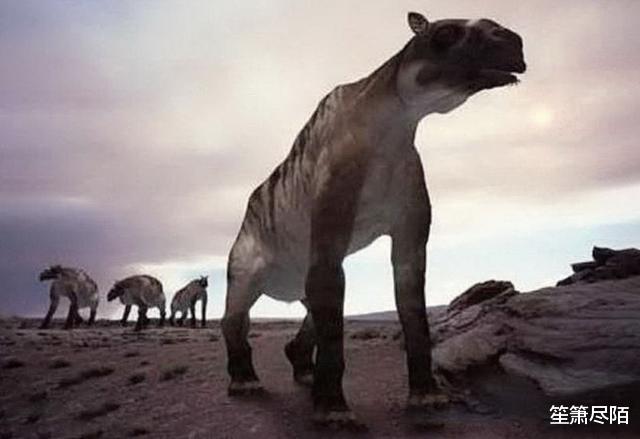 「科学家」500万年前就灭绝的驴头狼，却在神农架被目击，远古生物再复活？