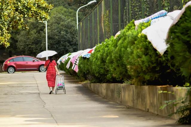 健康时报社|武汉高校学生返校，开学第一件事：晒被子