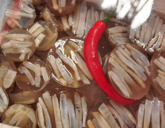 螃蟹|谁说土特产一定好吃?盘点最“难吃”的5种特产,全吃过算你狠!