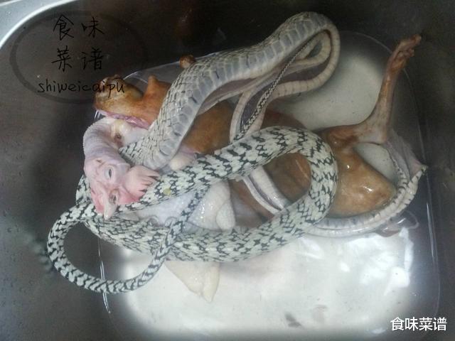 『食材』天下第一汤“龙虎凤”，它的食材选料颇有讲究，普通人敢看不敢吃