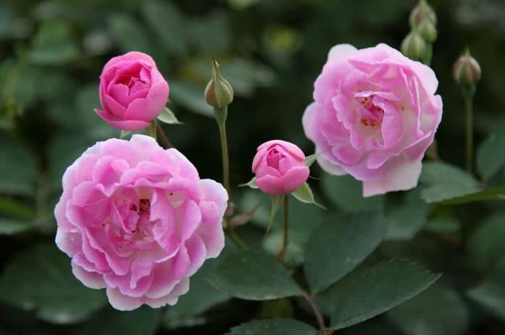 金牛座|10月开始，好运增多，财气冲天，横财赚不停的四大属相