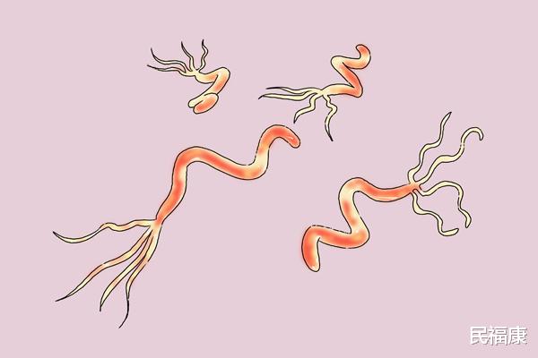 肝癌|肝癌不是突然就来，大小便早就给你暗示，只要发现，请尽快就医