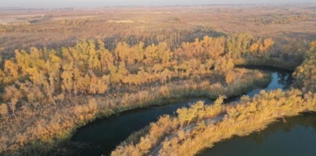 胡杨林|中国又诞生了一座最年轻的城市，面积仅有678平方公里，胡杨河市