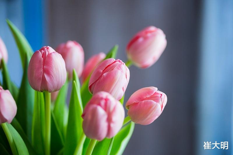 运势@7月开始运势走旺,事业策马奔腾,逃不掉幸福的4生肖