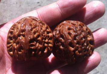 「文玩核桃」春夏季文玩核桃盘玩保存指南