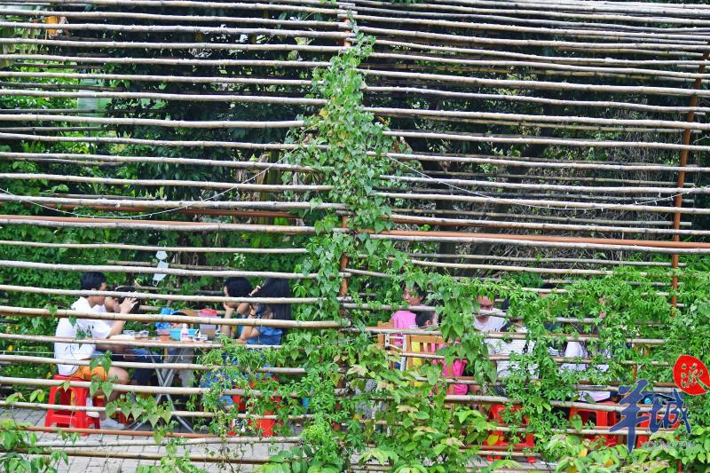 「广州市」【图集】青山绿水连成美好的诗篇!广州乡村游焕发生机