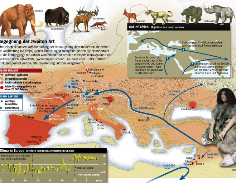 智人|人类祖先有多残忍？冲出非洲之后，血洗了地球上的生物