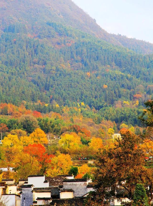 安徽|中国最诗意的地方，像是一幅绝美的画卷，此生必去