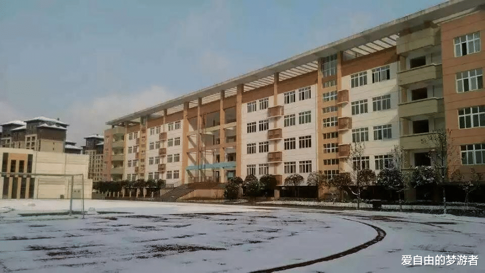 爱自由的梦游者 四川一幼儿教师和同学在学校宿舍身亡，学校：煤气中毒