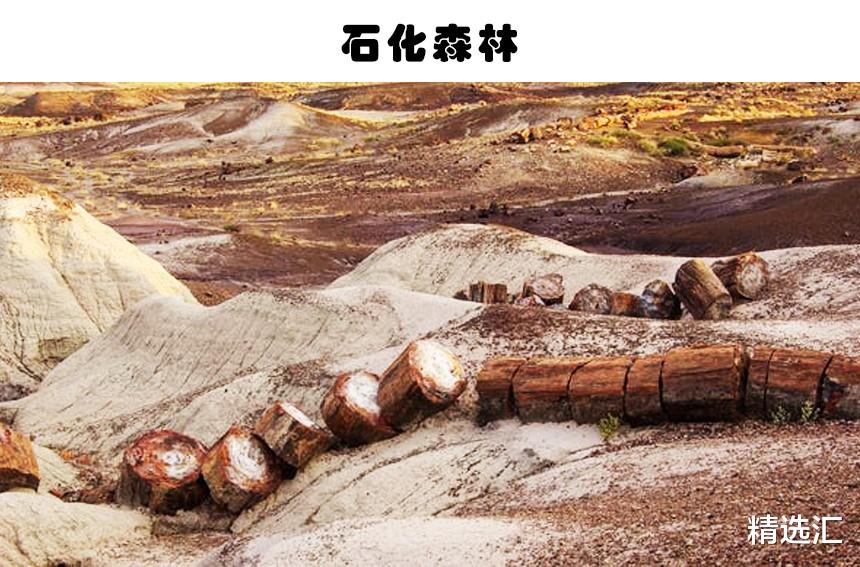 「」真实存在荒漠中的7个奇特且让人感觉奇怪的事物