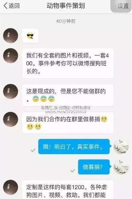 你好吴所畏|人设坍塌！玉林救狗华裔“英雄”牟利百万潜逃美国，还把小狗活活烧死