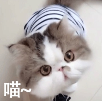 @这双“袜子”真的能给你带来一双纤纤玉足吗？